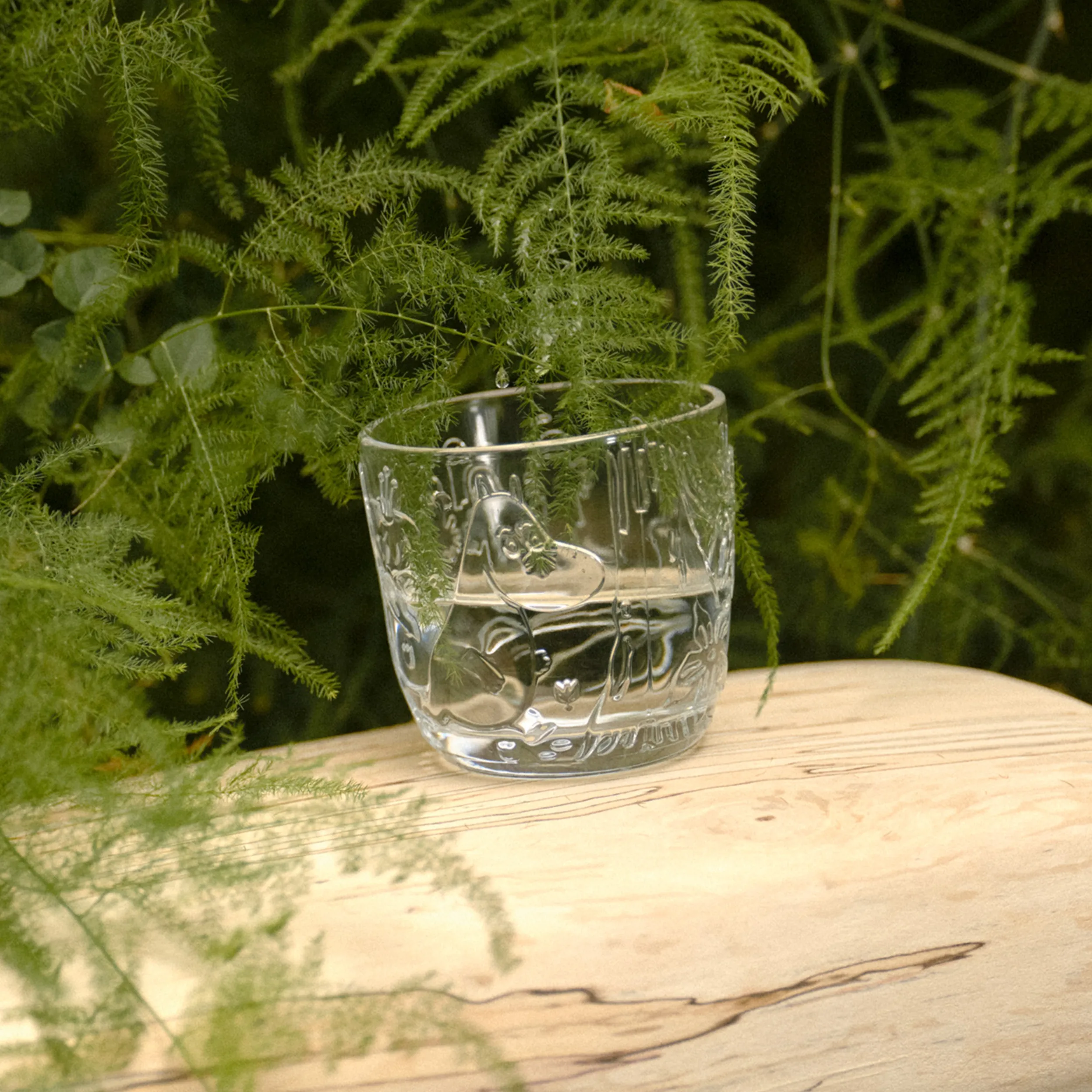 Arabia Moomin Forest Clear Glass Tumblers (Set of 2)
