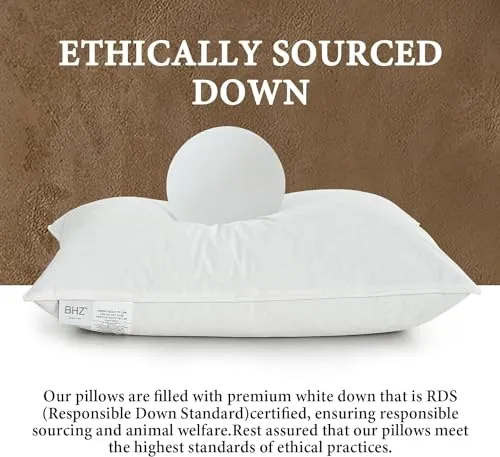 BHZ Goose Down Feather Pillow Standard Size, Luxury Hotel Alternative Collection Bed Pillow for Sleeping Firm Soft Support for Side & Back Sleepers, White, 20x26 Inch, 1 Pack