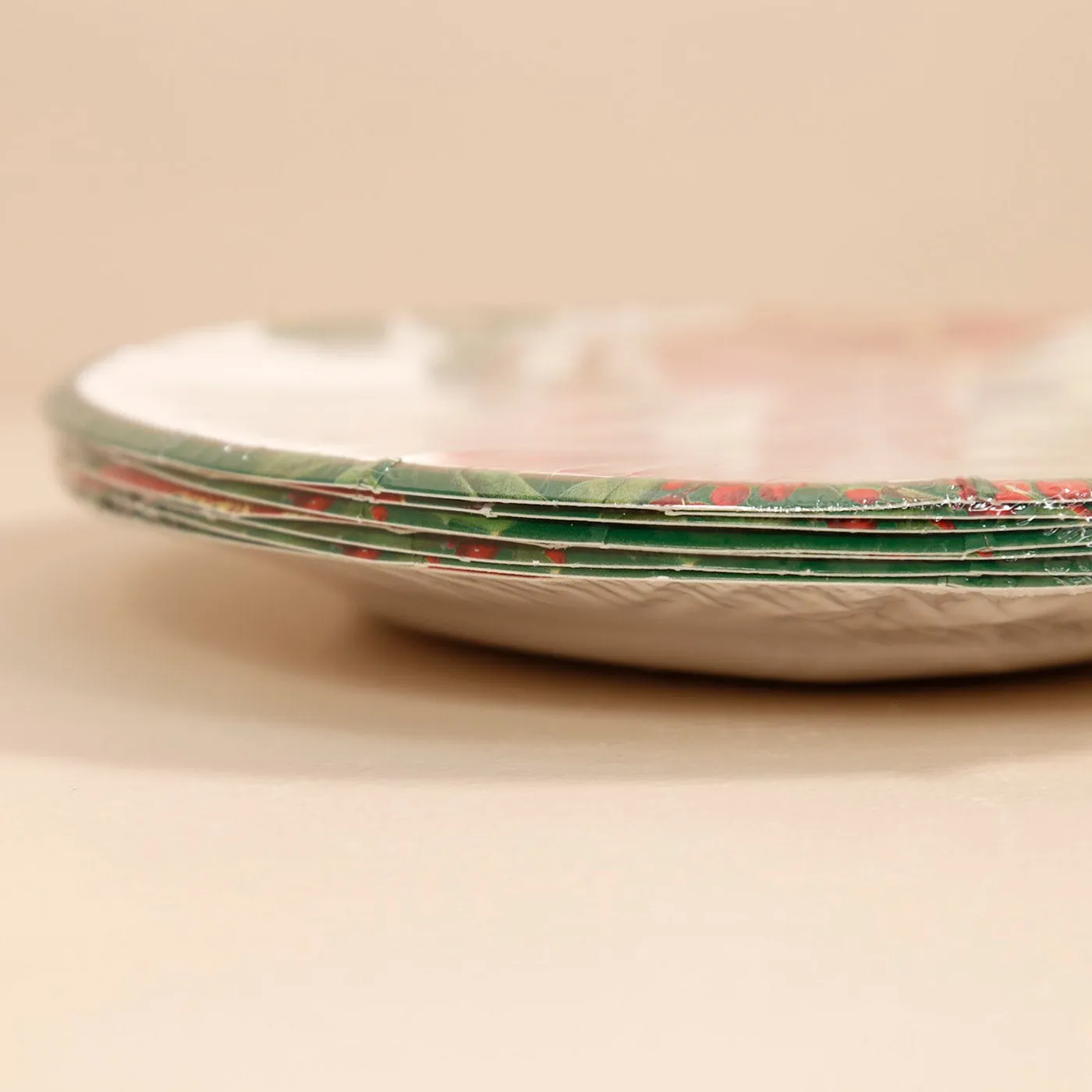 Caspari Paper Salad & Dessert Plates / Christmas Garden