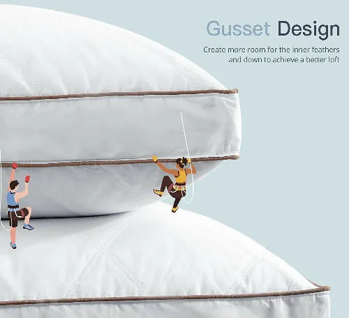 Goose Feather Luxury Pillow (Two piece)