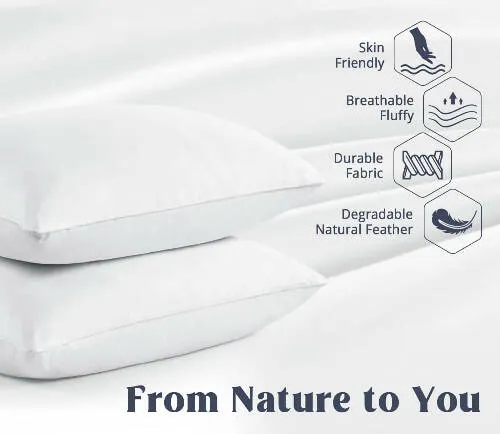 Goose Feather Luxury Pillow (Two piece)