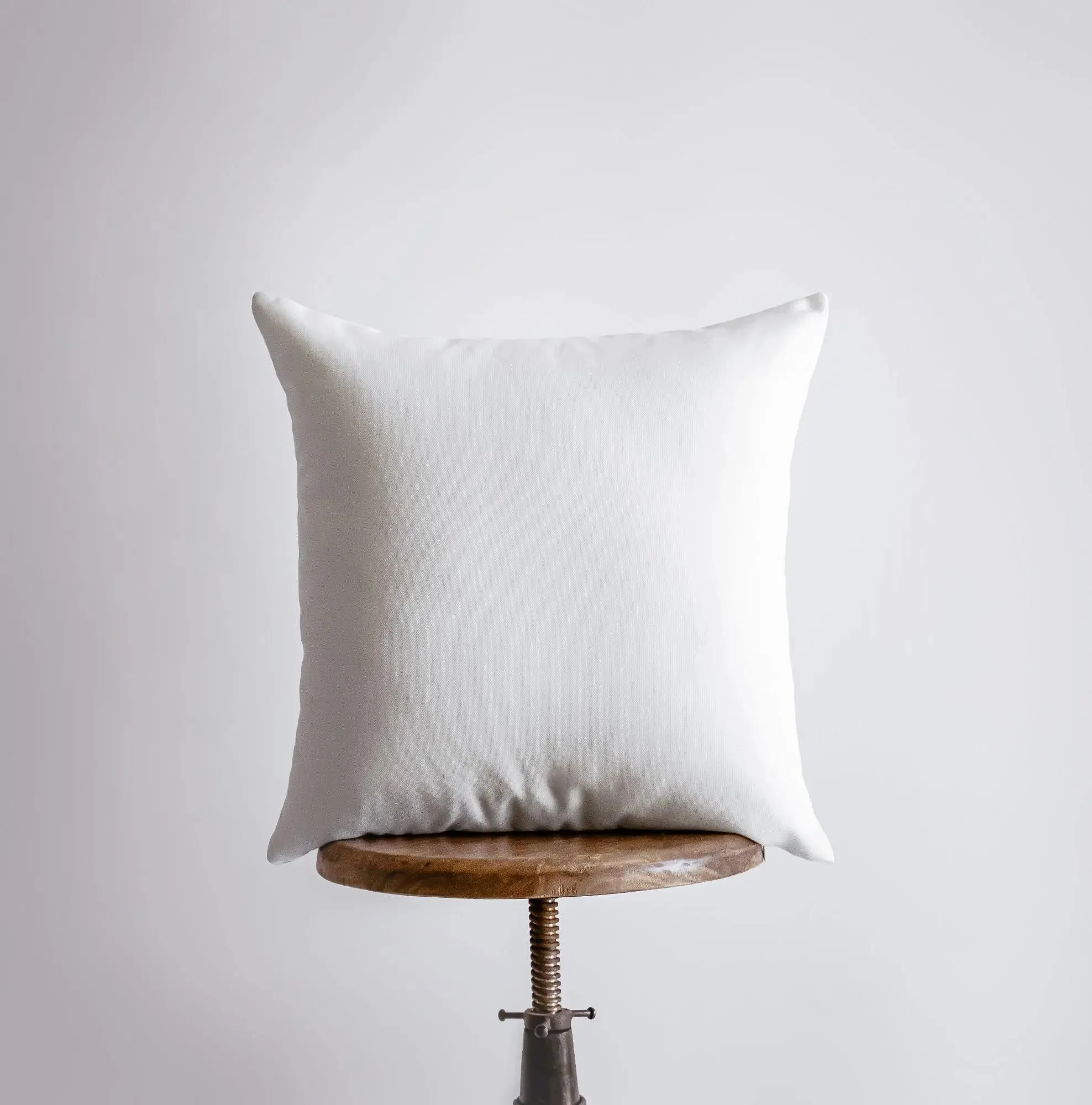 Horse Bathing in Tub Pillow | Throw Pillow | Horse Lover | Animal Lover Gift | Tiny House Decor