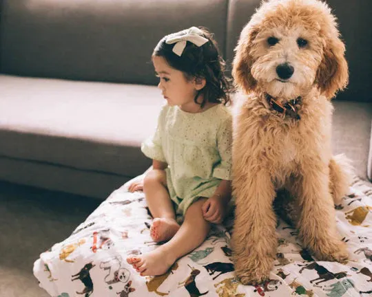 Little Unicorn Cotton Muslin Quilted Throw (60"x72") / Woof