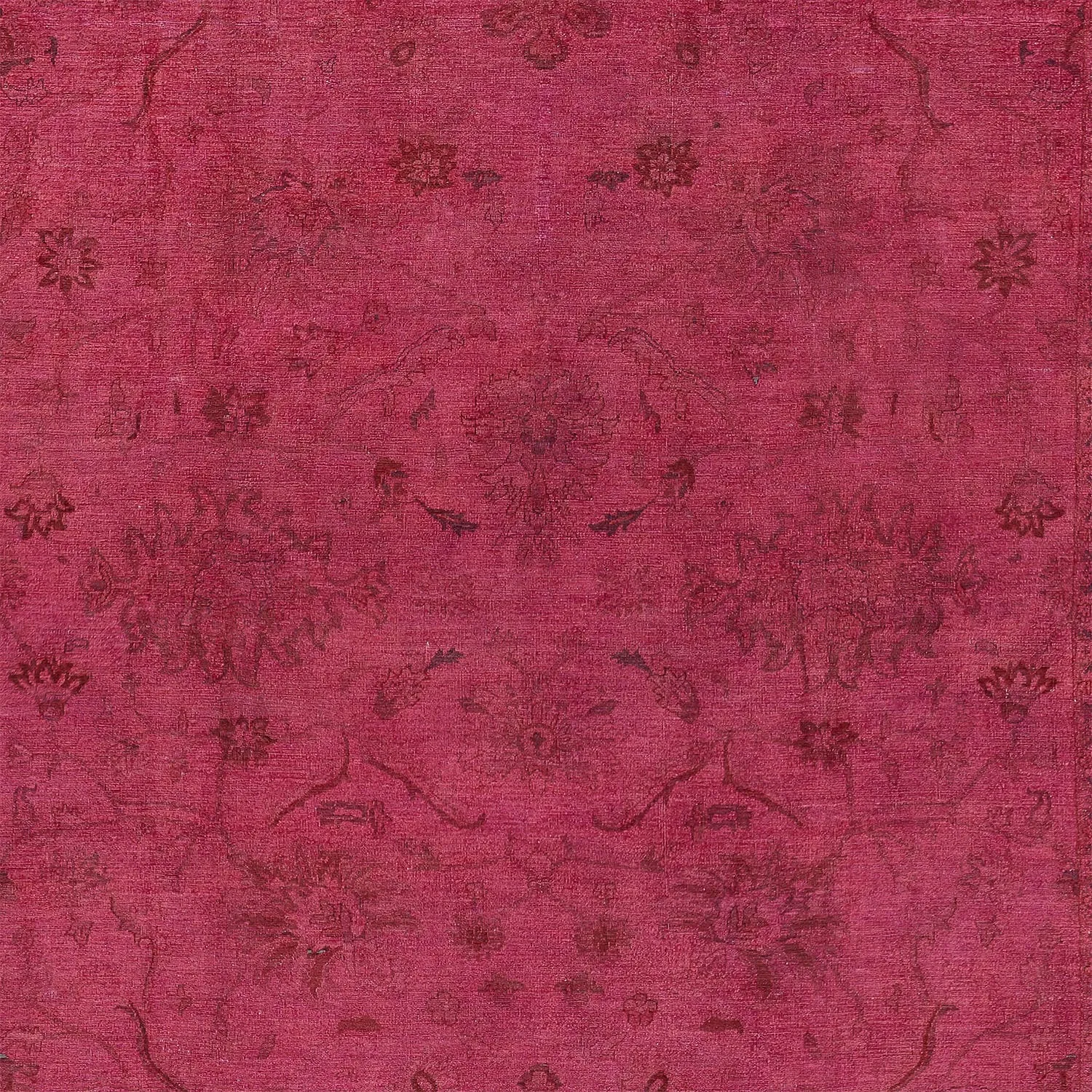 Pink Samsara Wool Rug - 13'6" x 21'