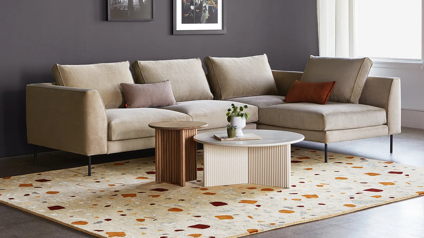 terraz rug