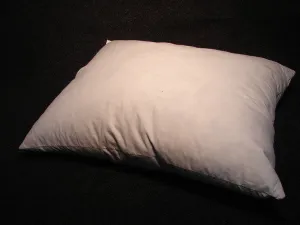 Touch Down Duck Pillows